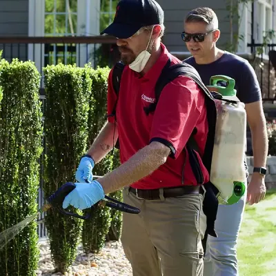 spraying exterior of home