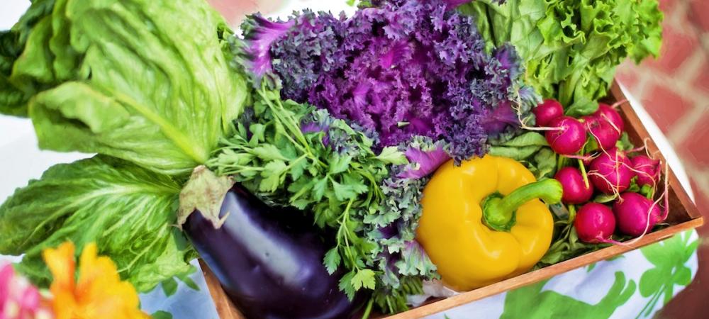 earth-day-vegetable-garden